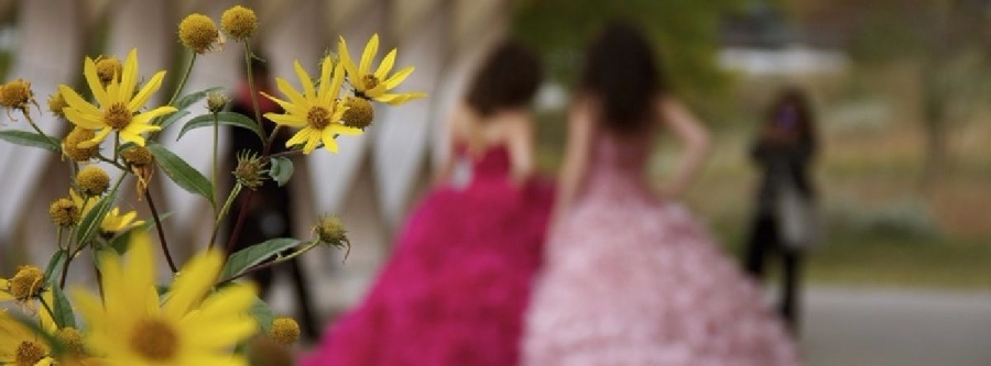 Las fiestas de XV años: Entre sueños, ilusiones y prestigio