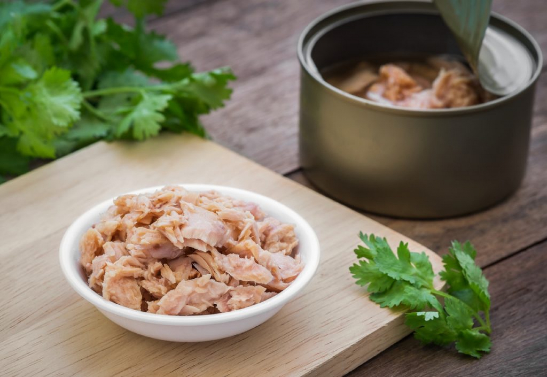 Alto en proteínas y rico en nutrientes; Profeco llama a consumir atún