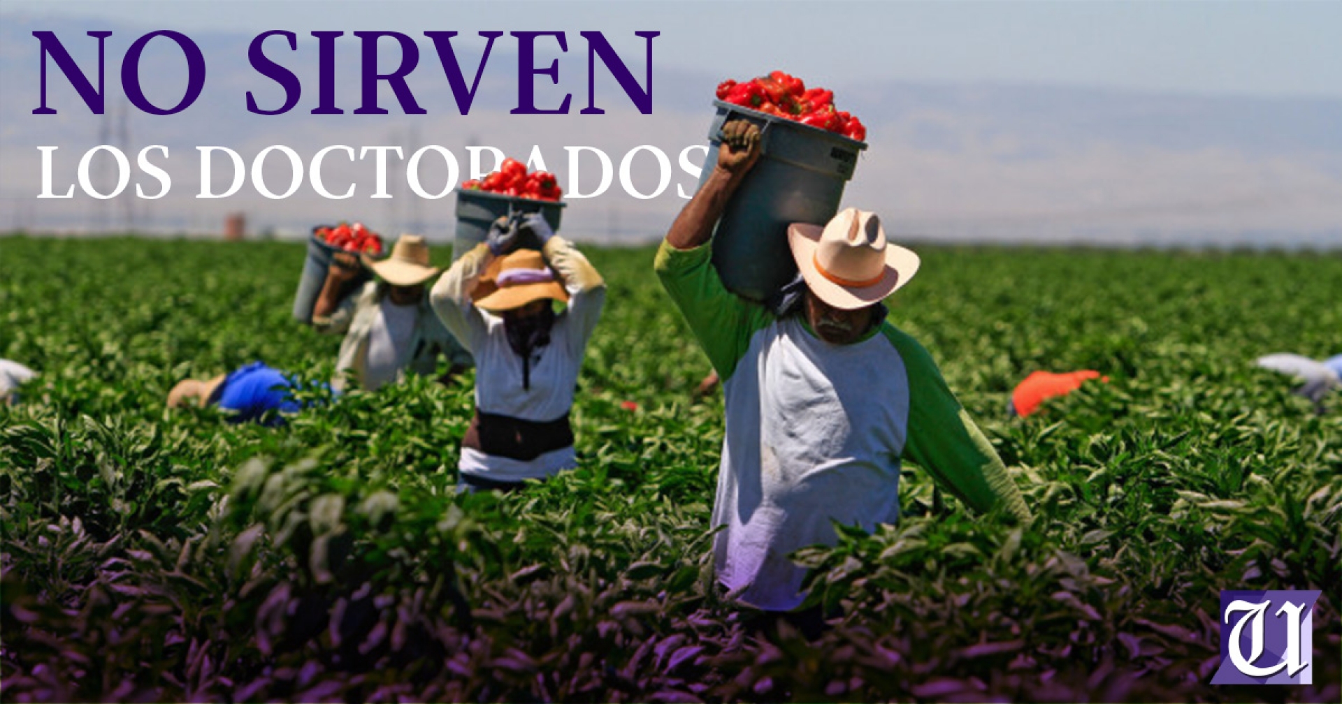 Pide la UNTA designación de funcionarios que conozcan el campo