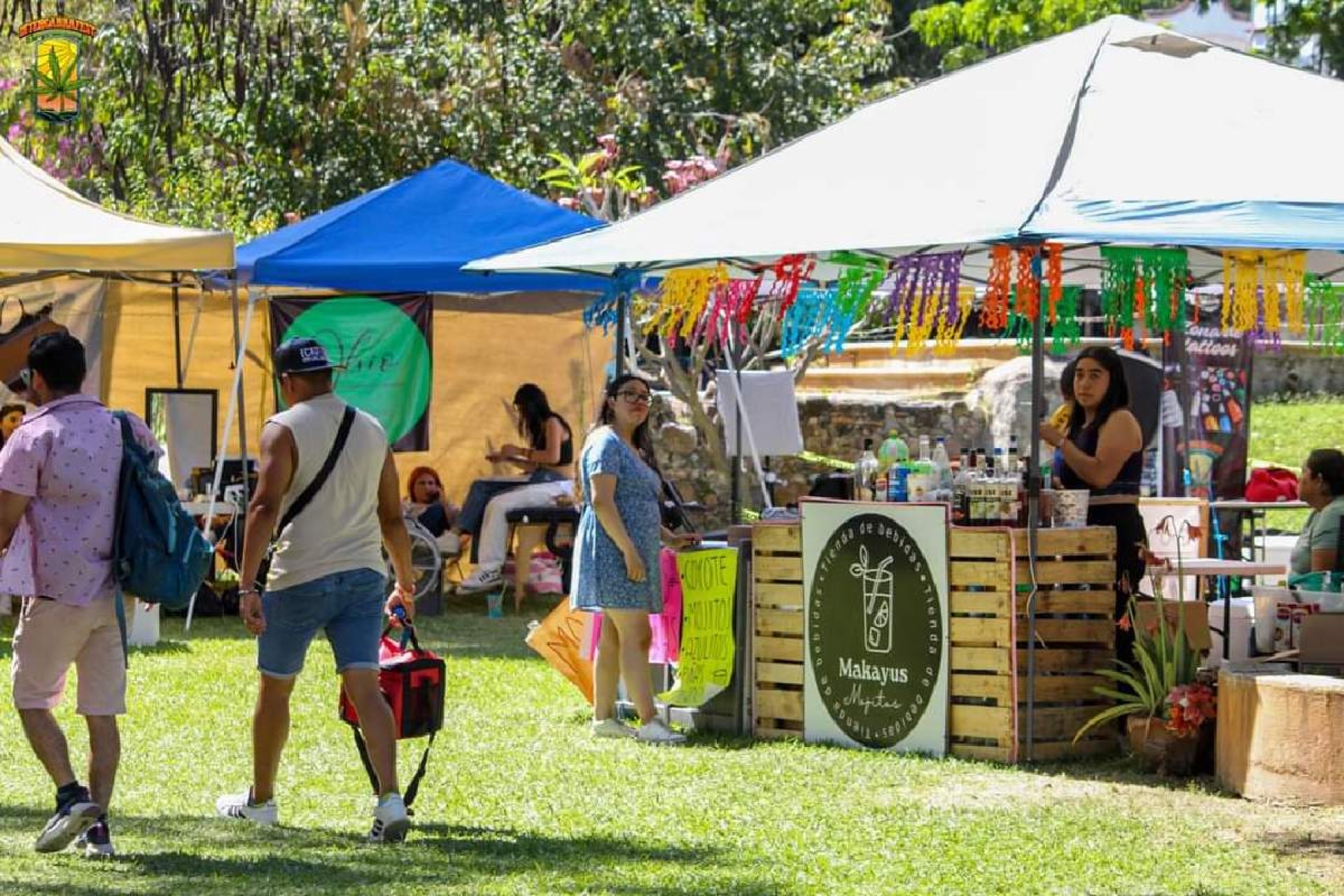 Proyecto 'Tetecala Cannabico' cumple tres años