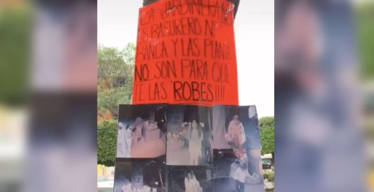 ¡Ni el cempasúchil respetan! Roban flores en plena calle