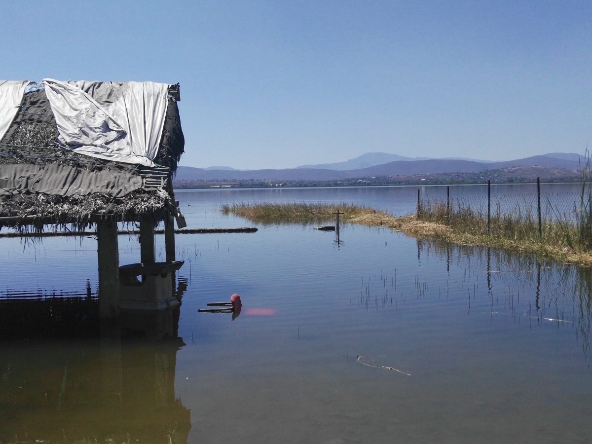 Atenderá SDS contaminación en la laguna de Coatetelco