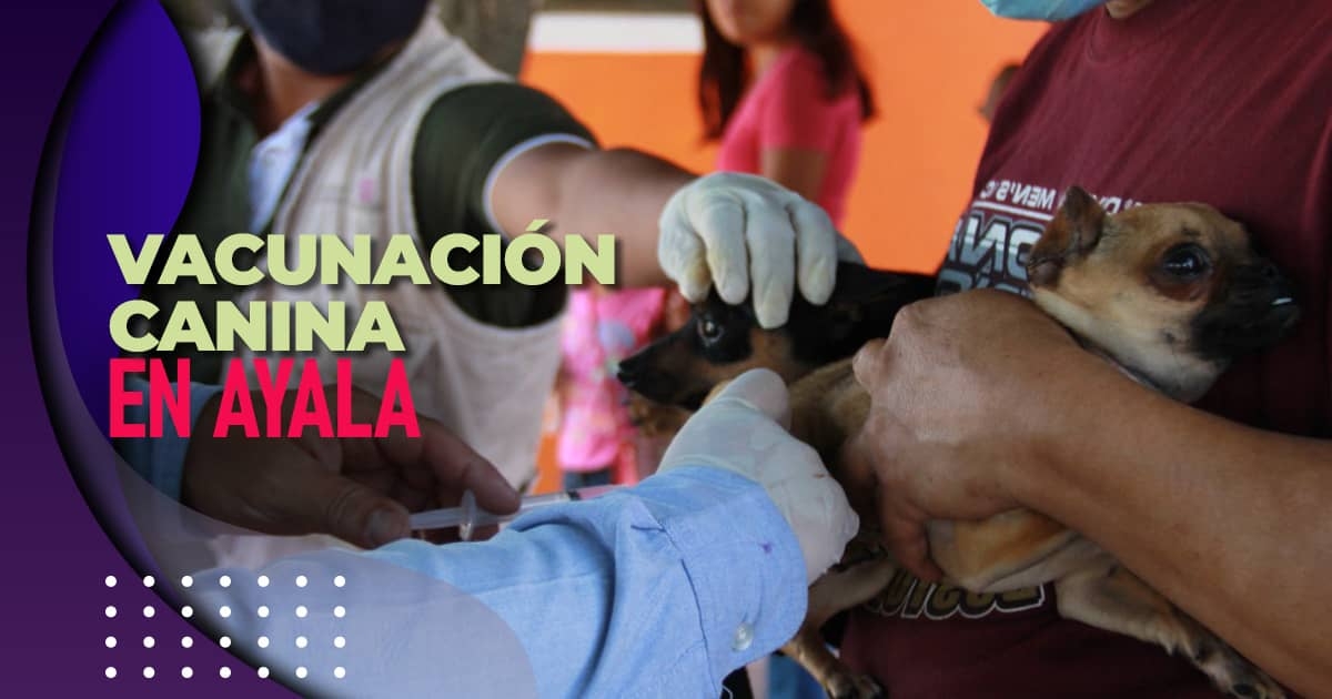Llevan vacunación canina a comunidades de Ayala