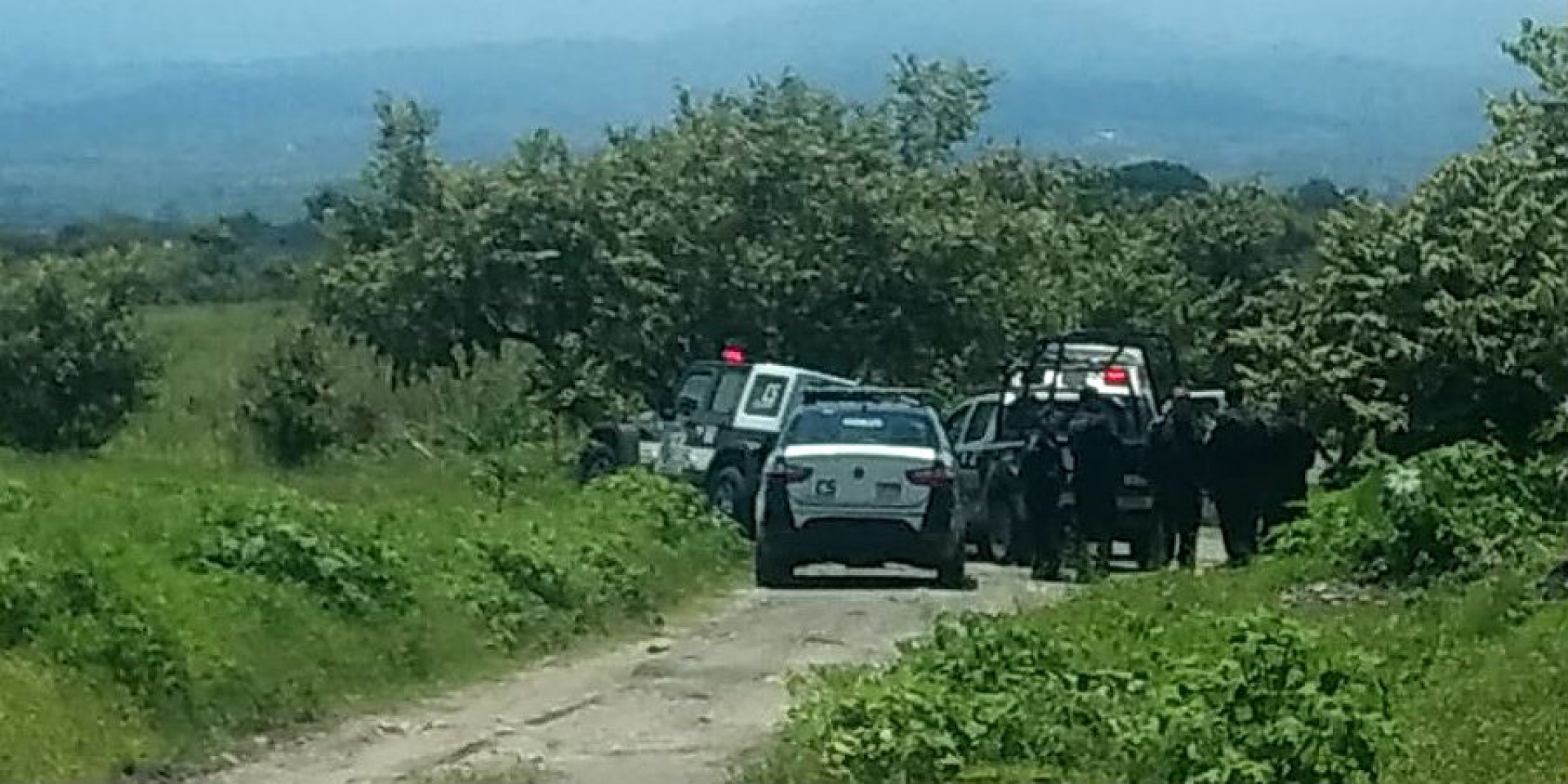 Un hombre fue asesinado en un terreno baldío, en Ejidos de Chipitlán