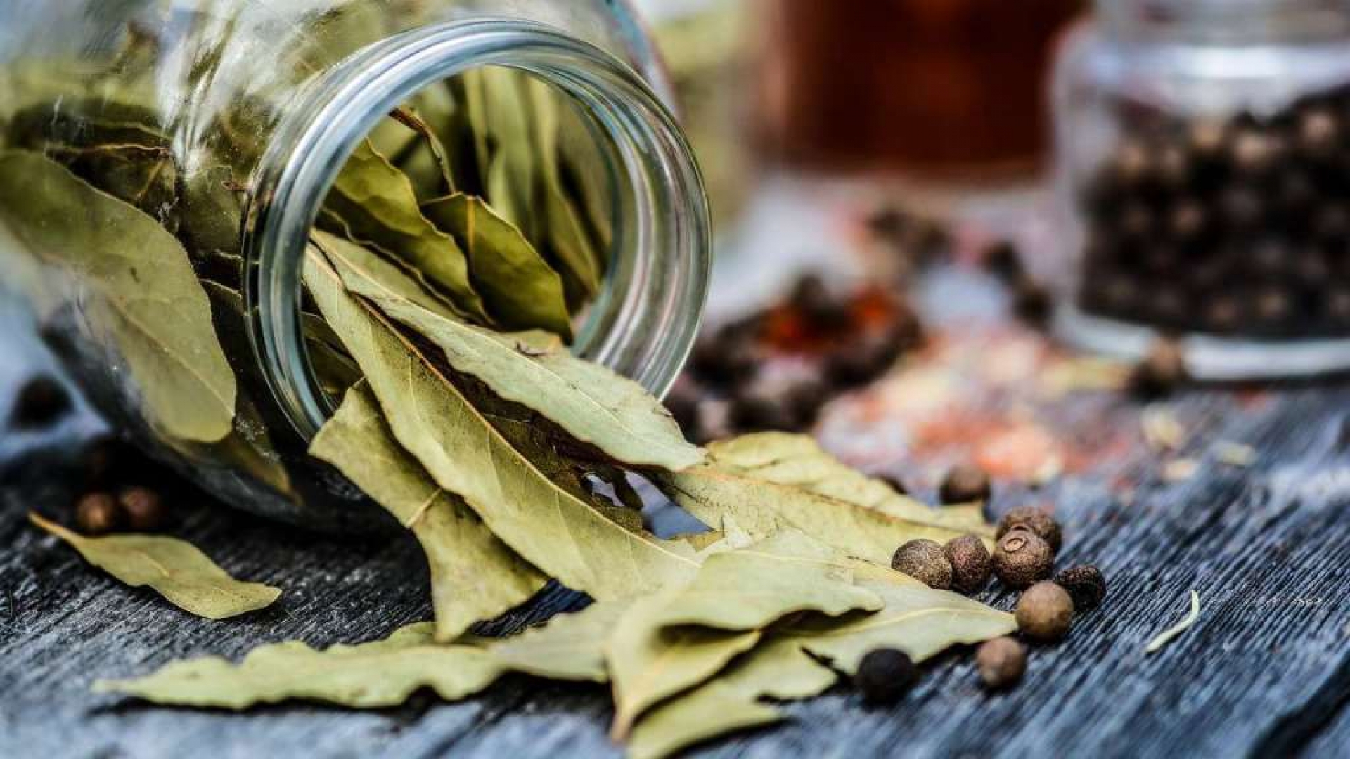 Reducir la ansiedad y más beneficios del té de laurel