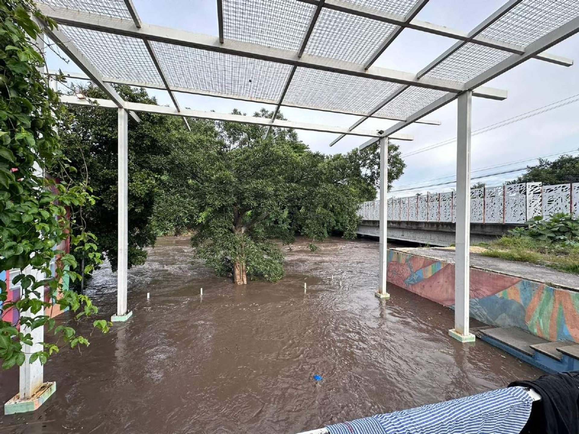 Intensa lluvia provoca inundaciones en Jojutla
