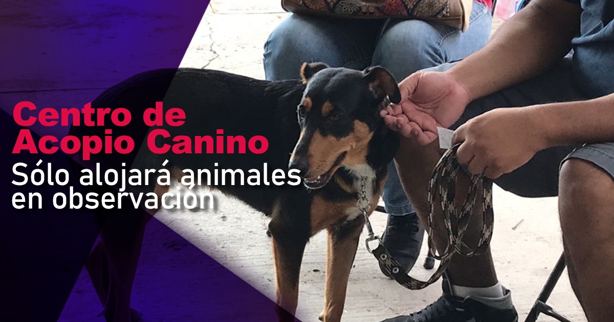 Modifican operación del Centro de Acopio Canino de Cuautla