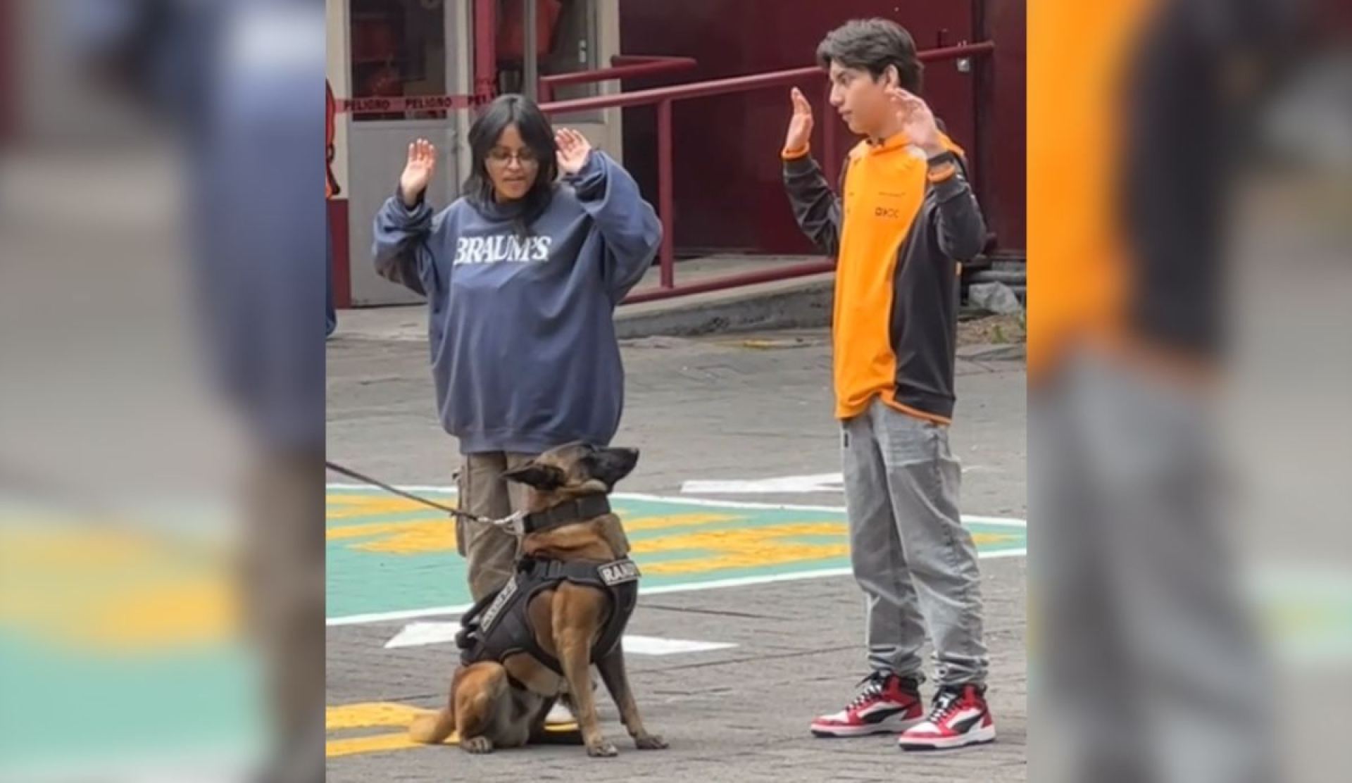 Perro policía detecta a estudiante en exhibición y el momento se vuelve viral