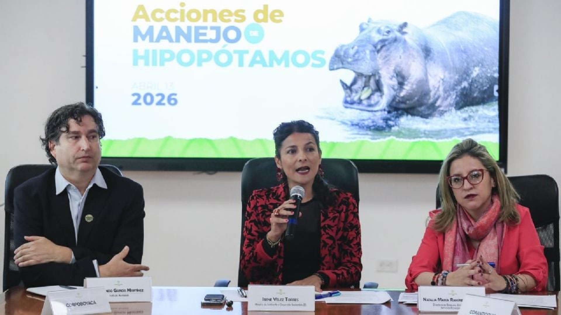 Colombia aplicará eutanasia a 80 hipopótamos para controlar su población