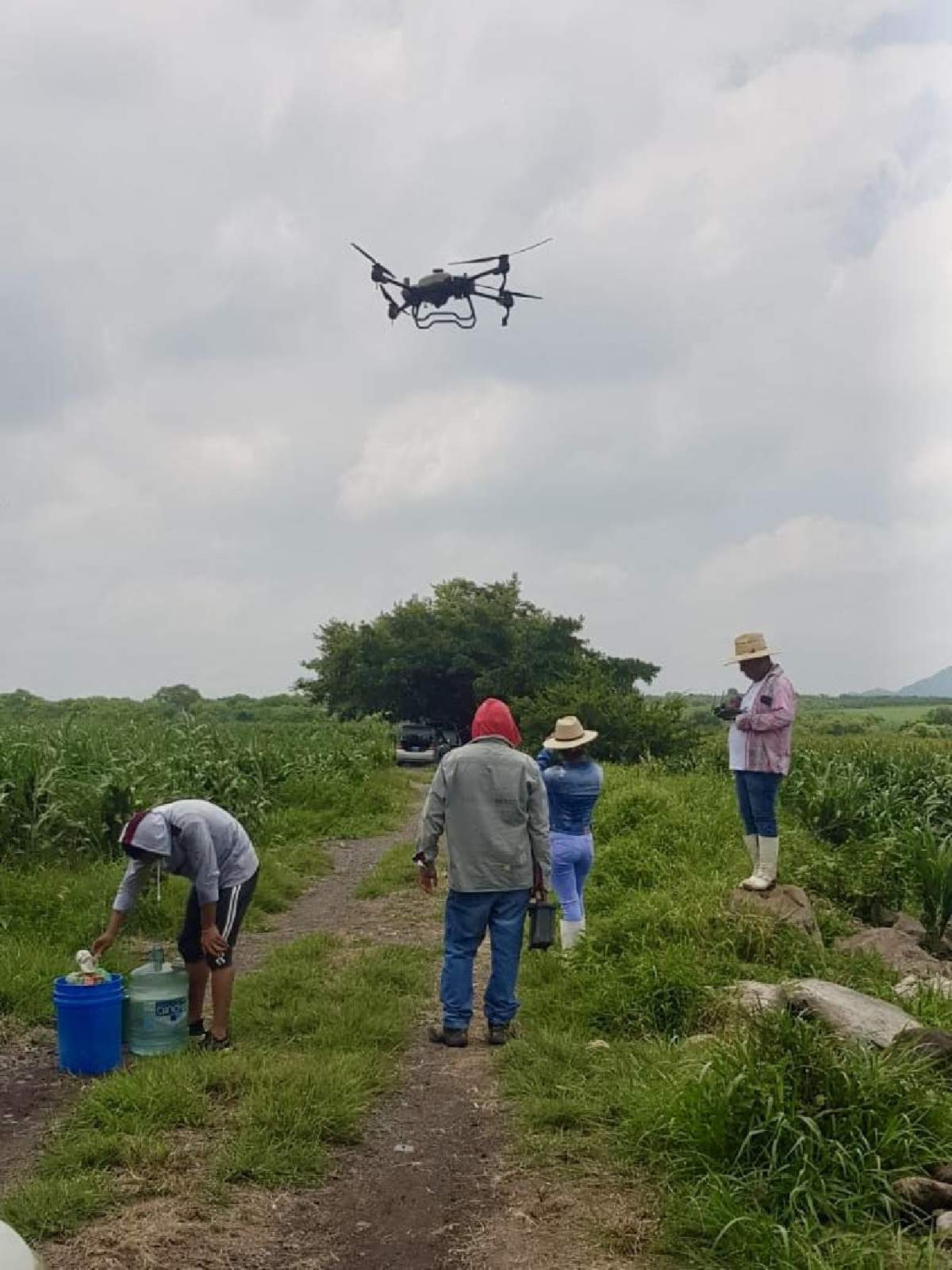 Tecnifican fumigación de cultivos con drones en Yecapixtla