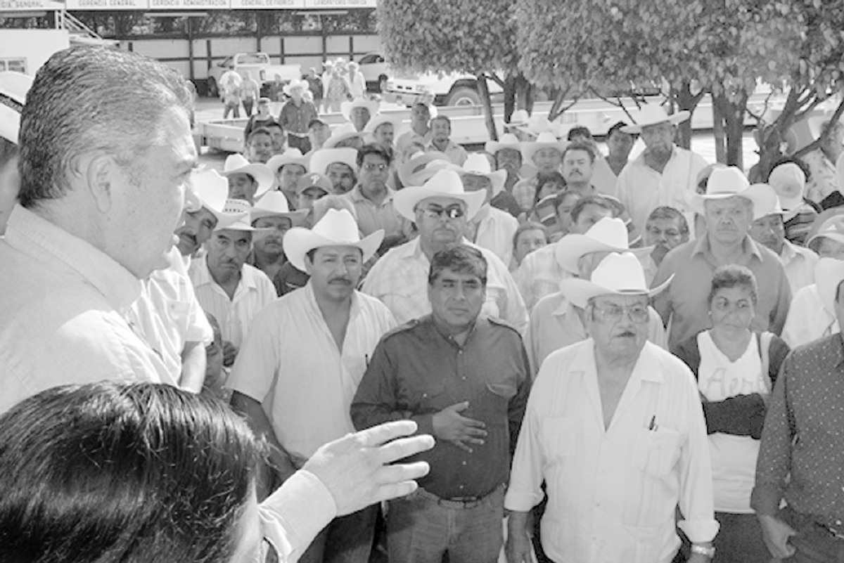 Productores de caña se manifestaron en las instalaciones del ingenio de Casasano