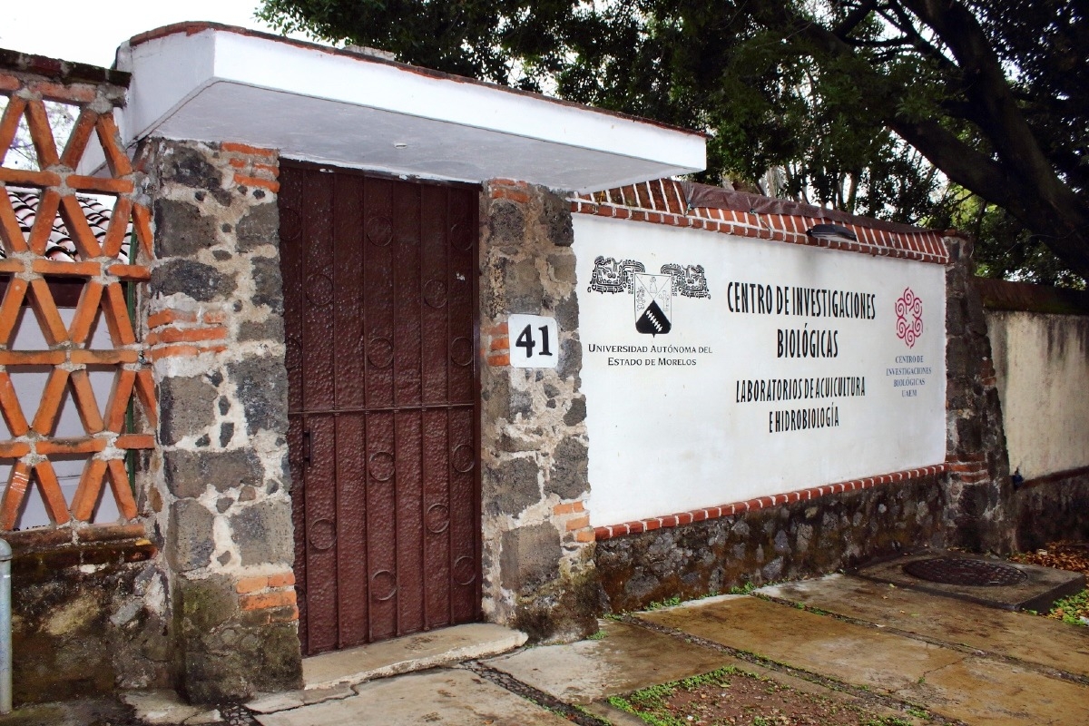 Contribuye CIB a la conservación de peces en beneficio de productores morelenses