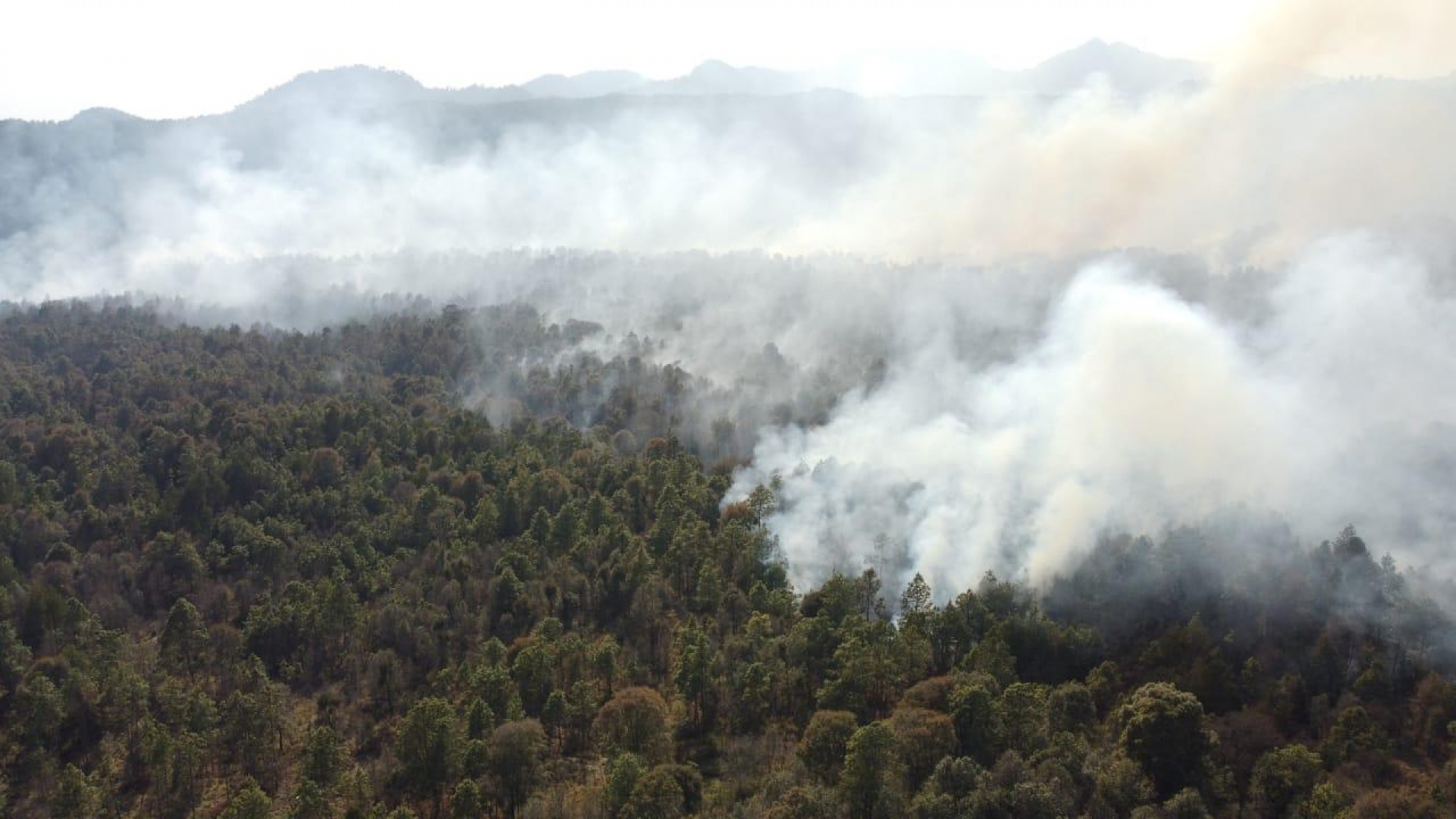 Combaten SDS y Conafor incendio forestal en Huitzilac