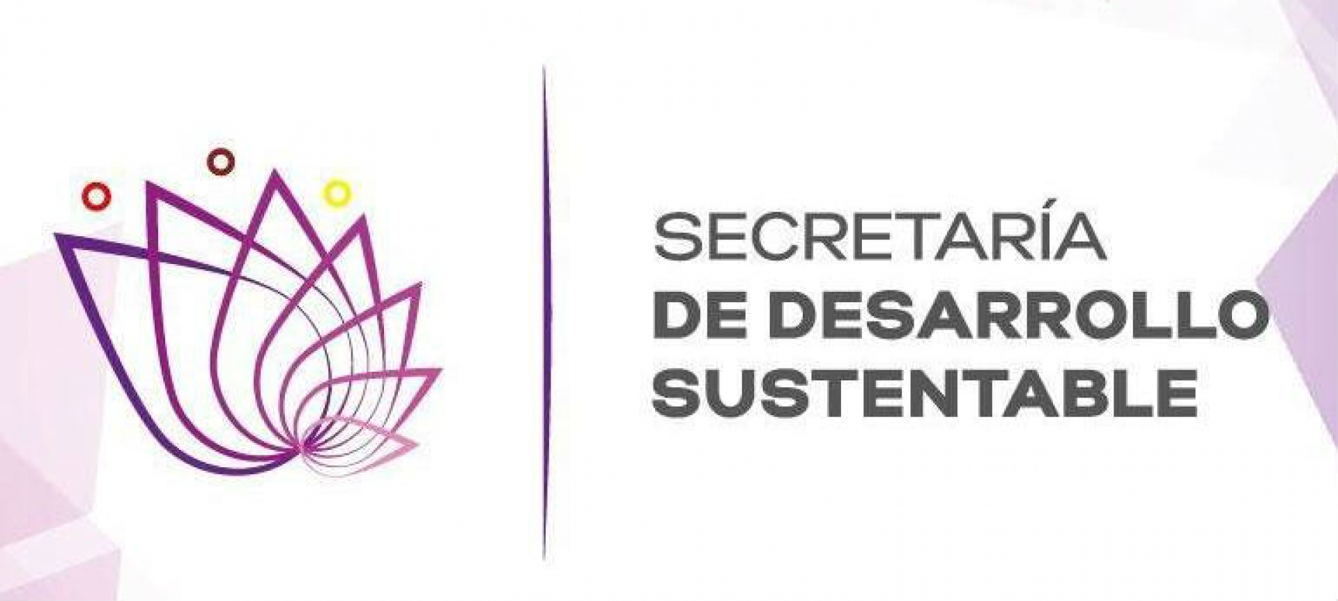 Autorización de obra de construcción en Jardines Delicias corresponde a Cuernavaca: SDS