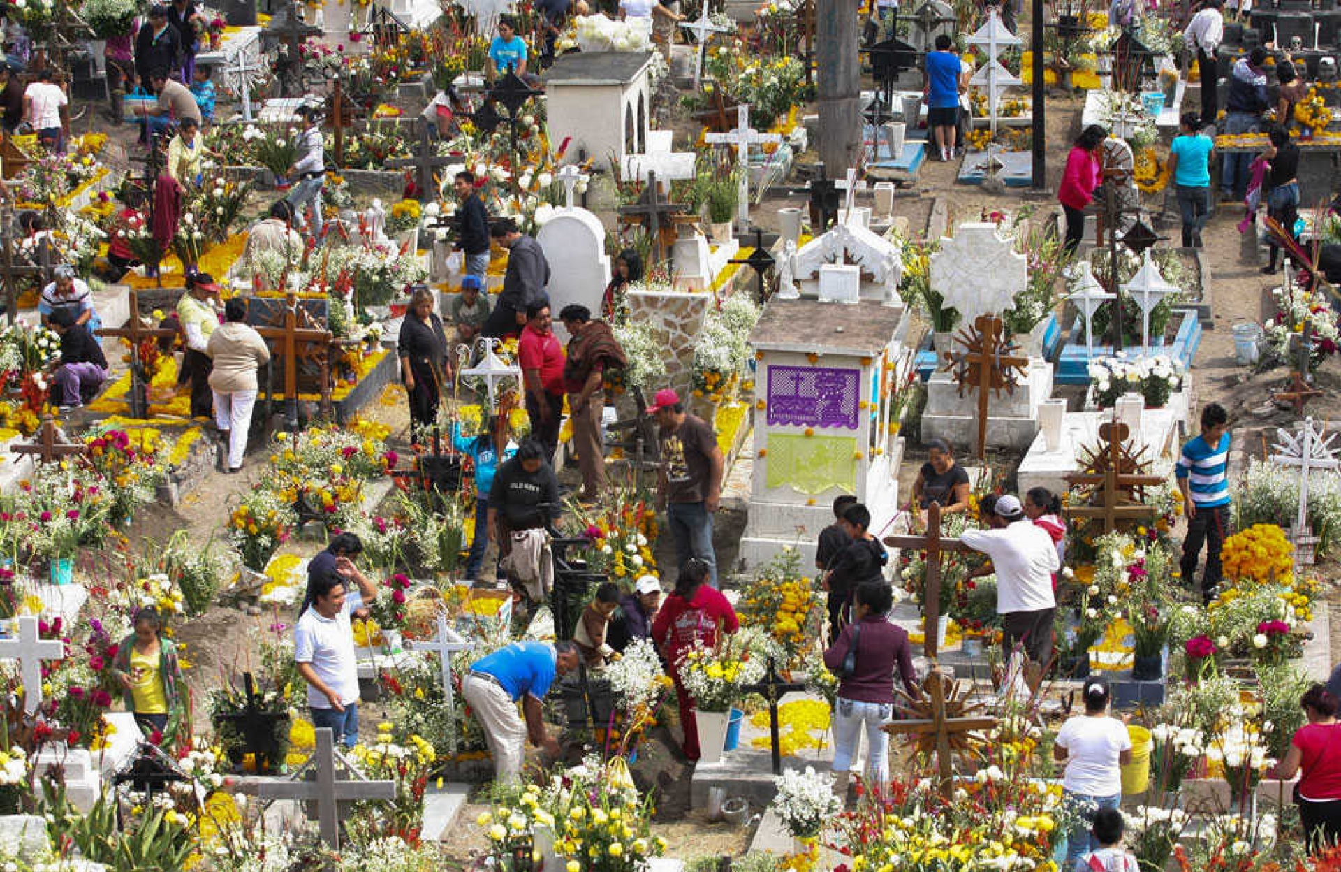 Analizan criterios para visitantes en panteones por Día de Muertos: López-Gatell