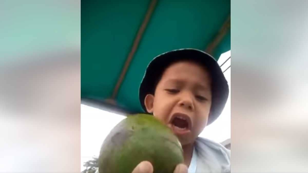 "¡Aguacate sabroso, mantequilloso!" Niño ayuda a vender aguacates a su papá