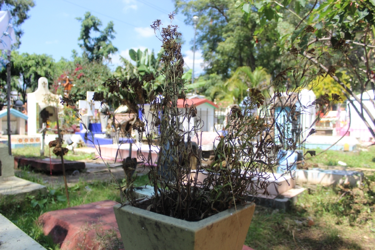 Preparados, panteones de Cuernavaca para recibir a visitantes