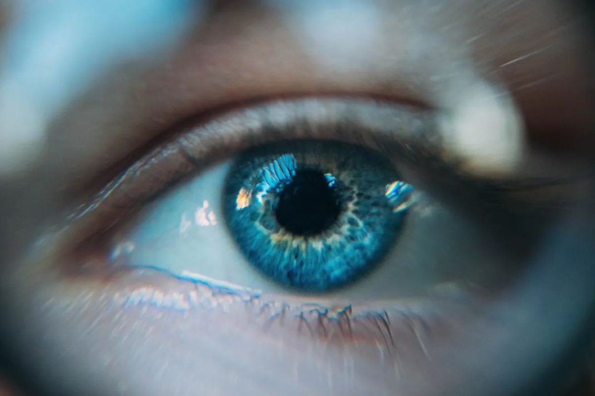 Ojo de Navidad, enfermedad que sufren algunos lugares de Australia durante esta temporada