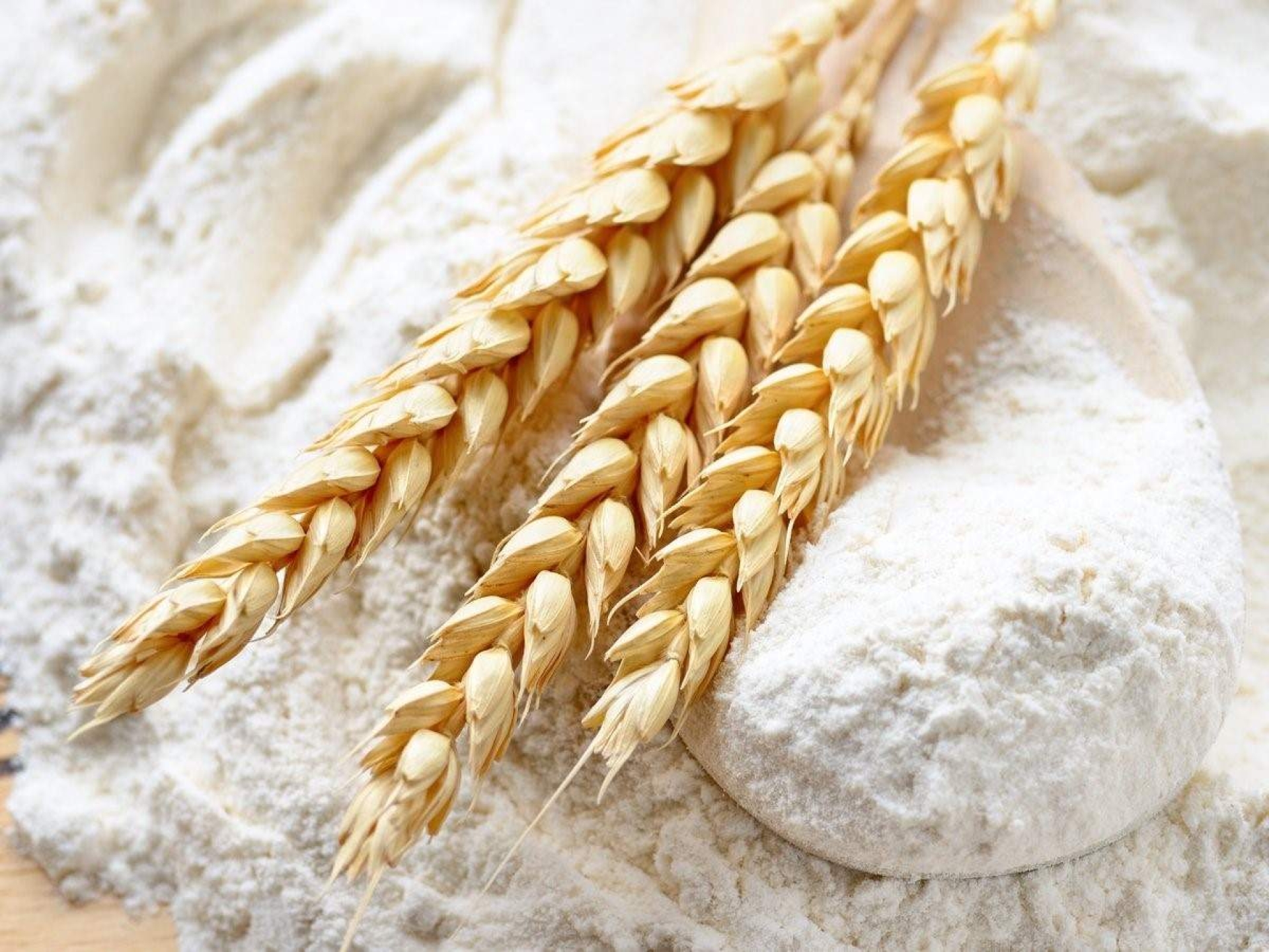 La diferencia entre engordar y no engordar: el trigo en el pan y la pasta