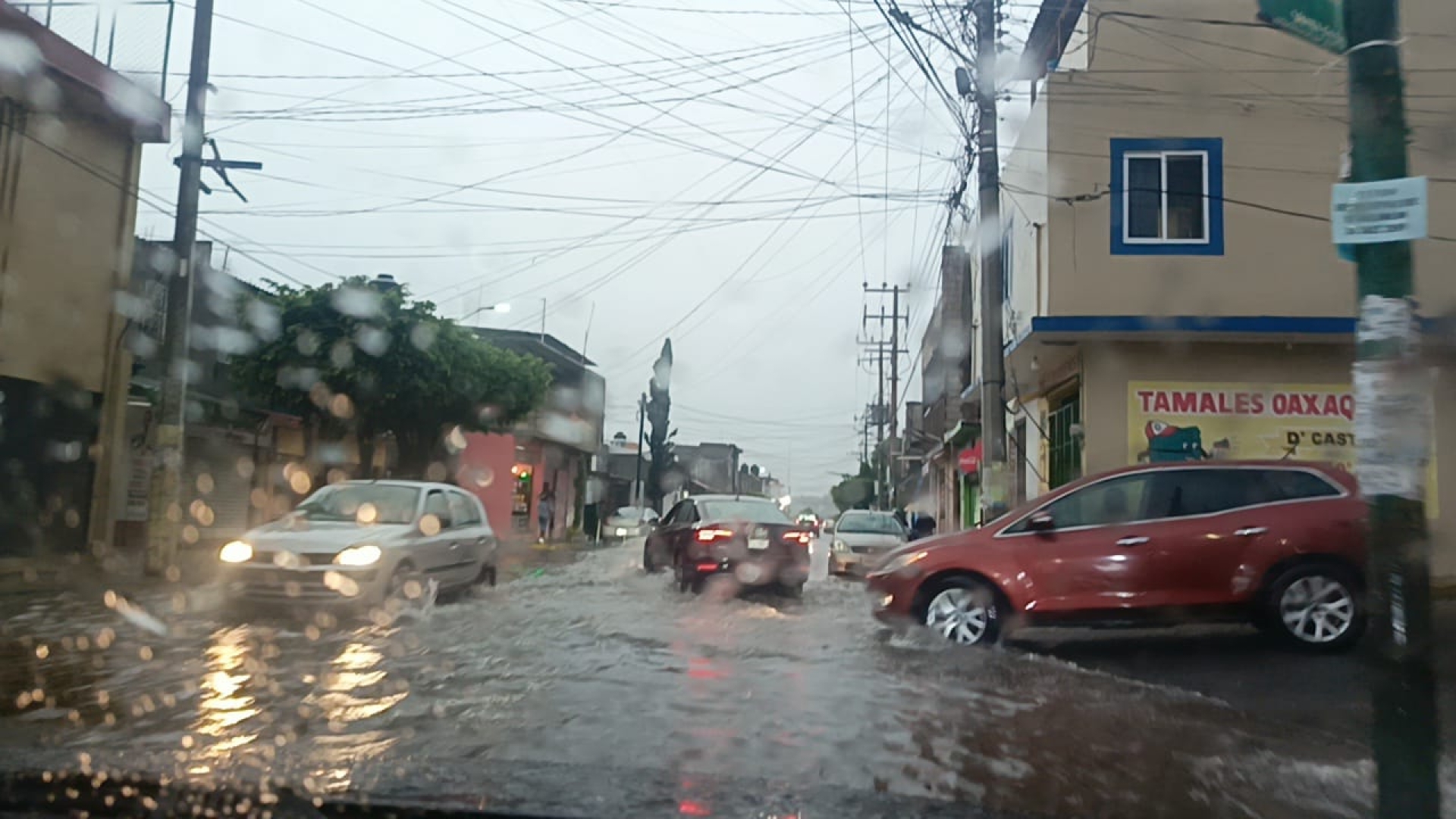 Seguirán lluvias fuertes por 'Érick'