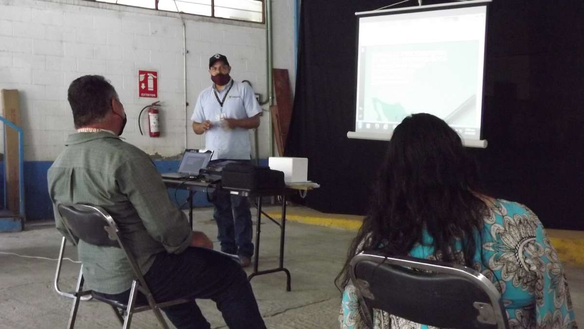 Vacunará Sedagro a conejos de Temixco