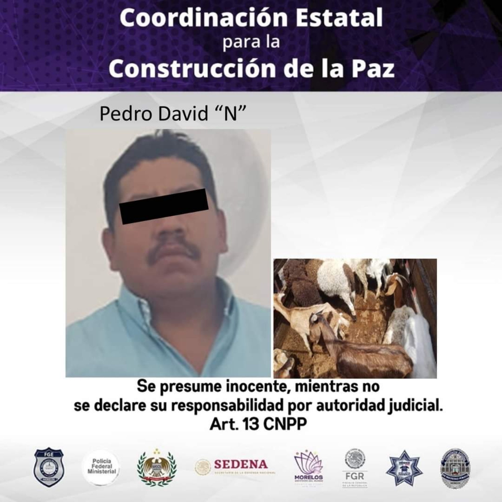Detiene Mando Coordinado a un hombre por presunto abigeato, en Jonacatepec