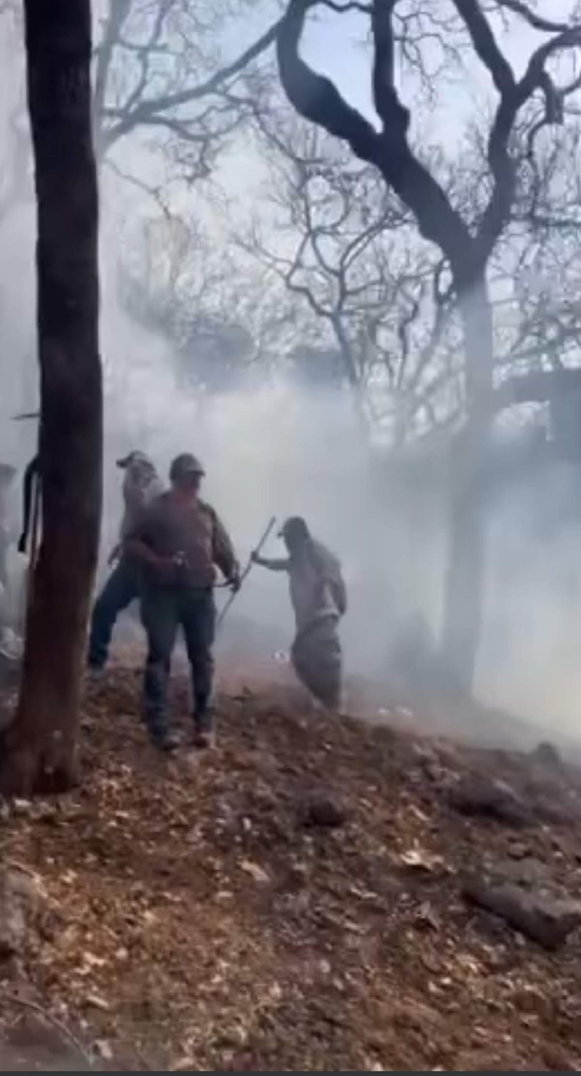 Continúan los trabajos de combate a incendio en Tilzapotla