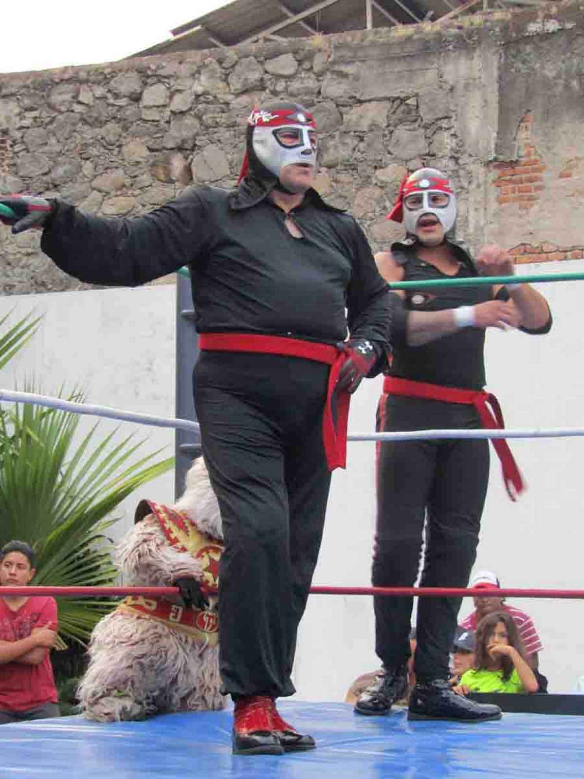 Estrellas de la lucha libre se presentarán en Yautepec