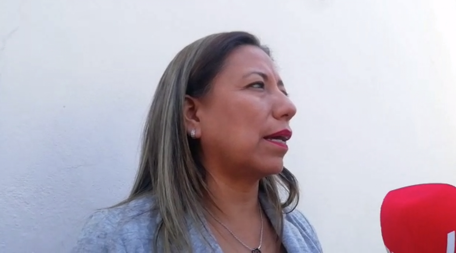 Seguridad pública, tema prioritario para integrar paquete económico 2020: Flores Espinoza