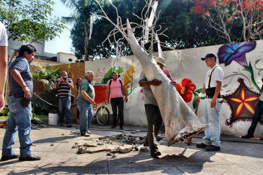 Retiran el “Árbol de la memoria” de la Plaza de Armas