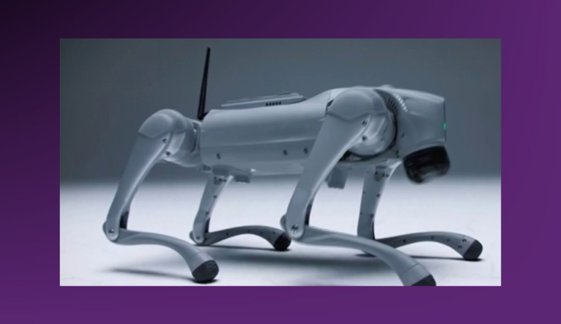 'Luna', el perro robot que aprende y se adapta como un ser vivo gracias a la IA