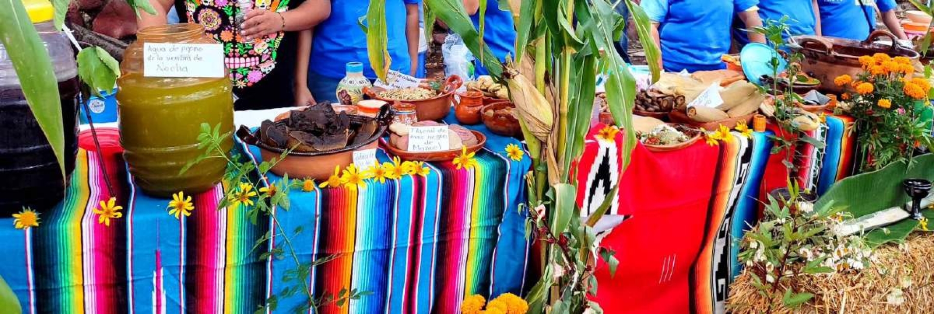 Anuncian Segundo Concurso Gastronómico “Sembrando Vida”