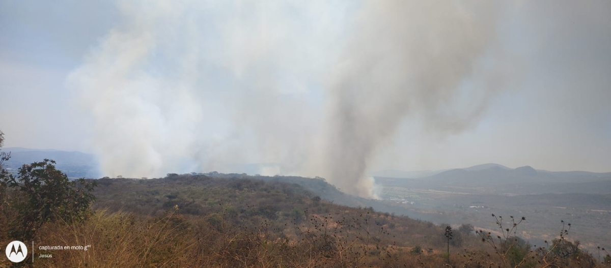 Liquidado, incendio forestal en el paraje 'Quinta piedra' de Tepoztlán