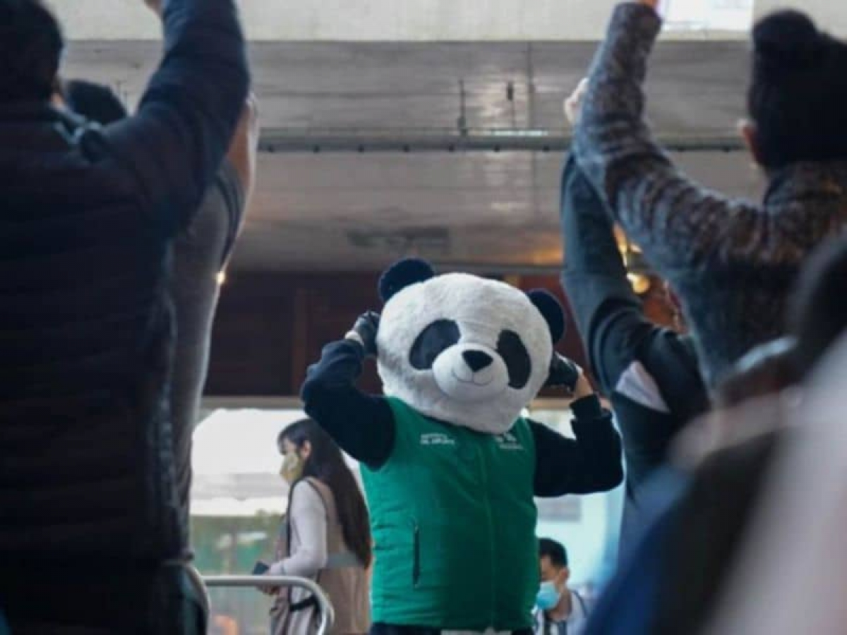 Pandemio, el panda que ameniza la vacunación contra COVID-19