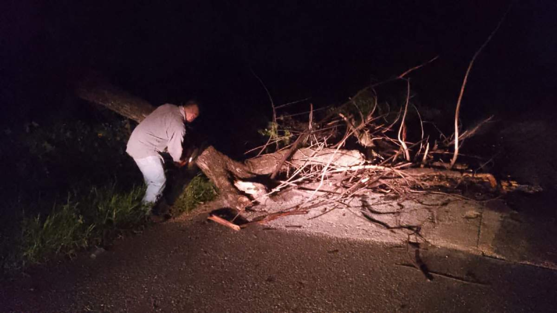 Caída de árbol y encharcamientos, saldo de lluvias en Coatetelco