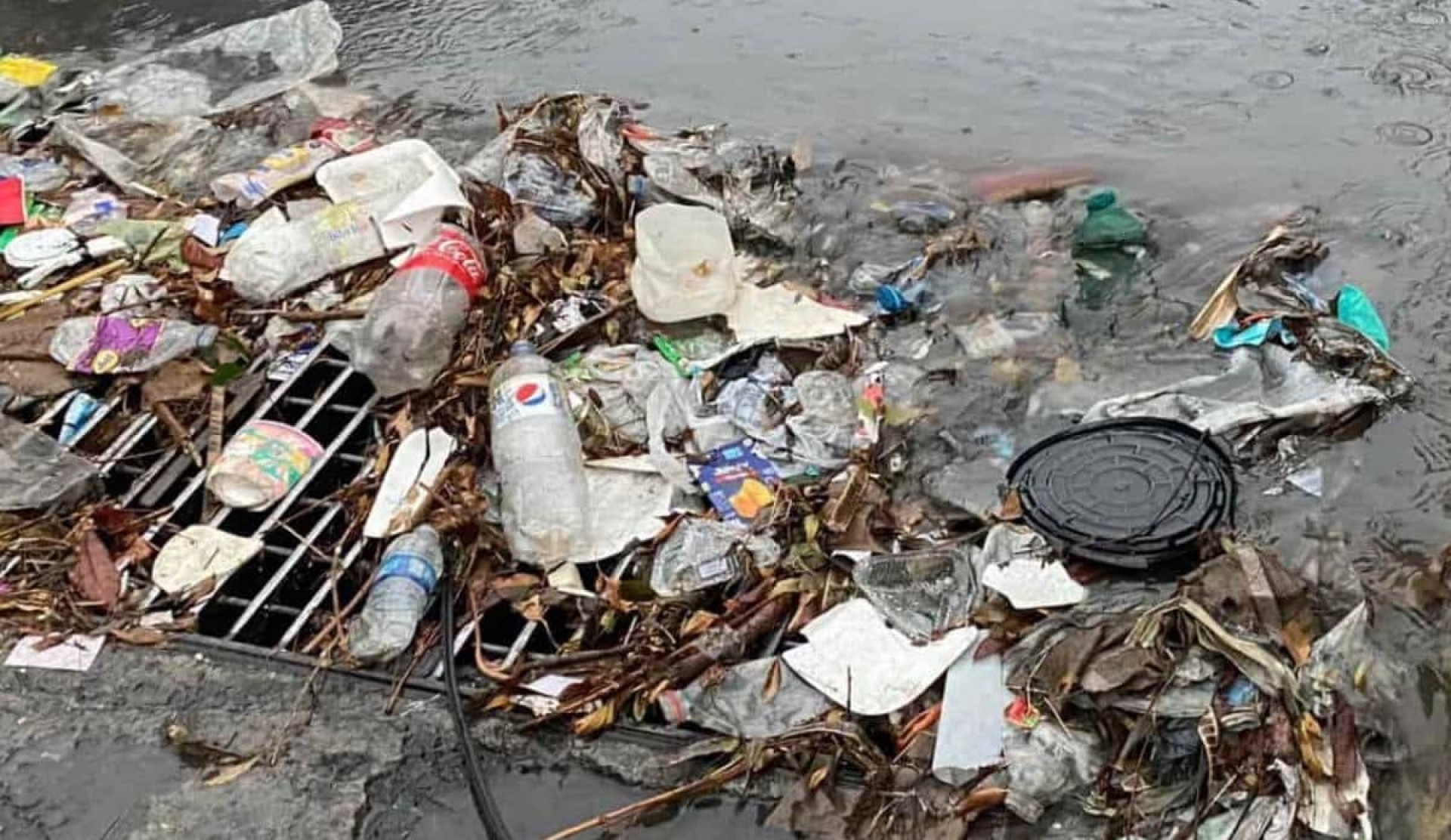 Urbanidad