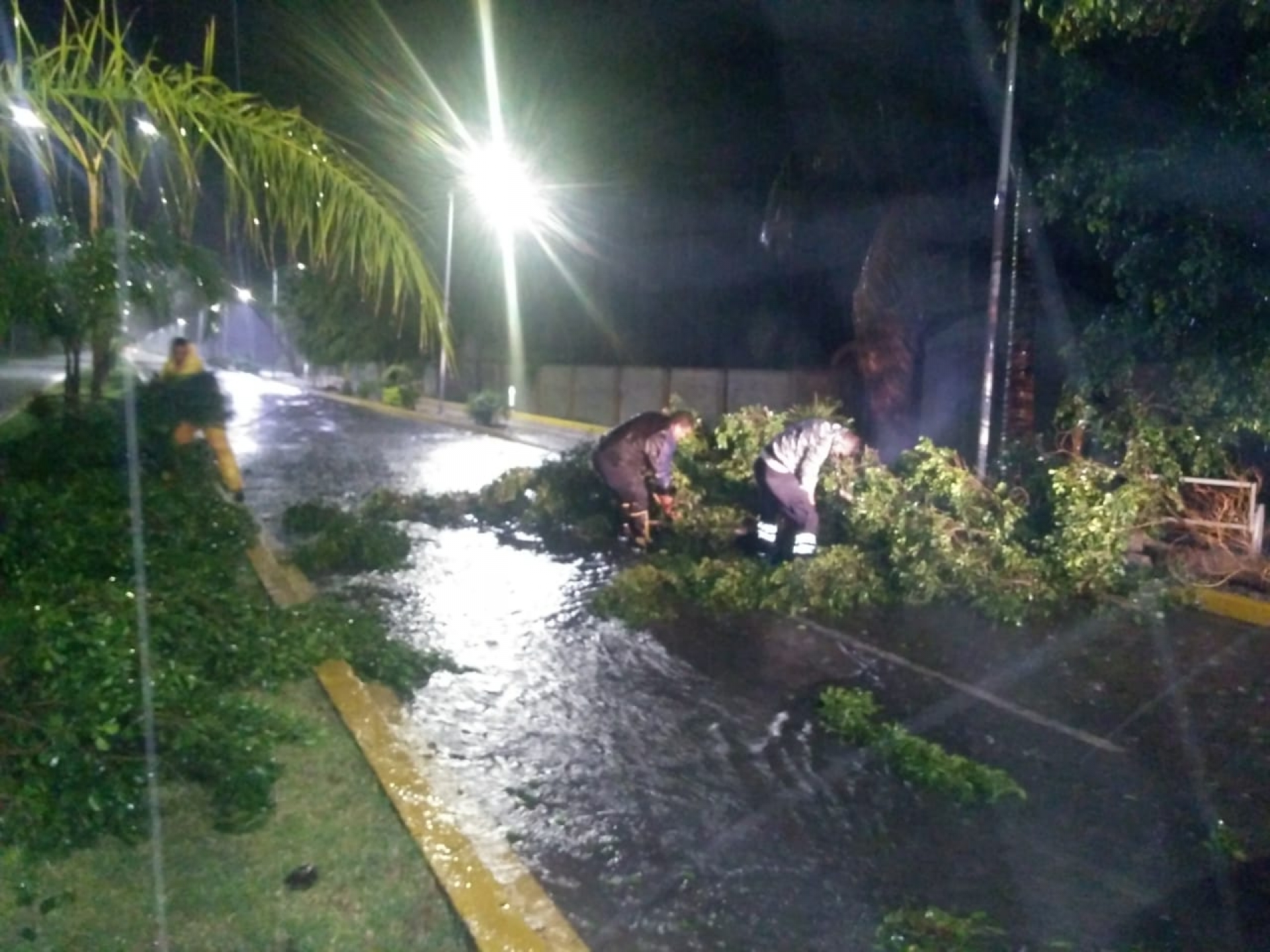 No se tiene reporte de afectaciones severas, tras lluvias: CEPCM
