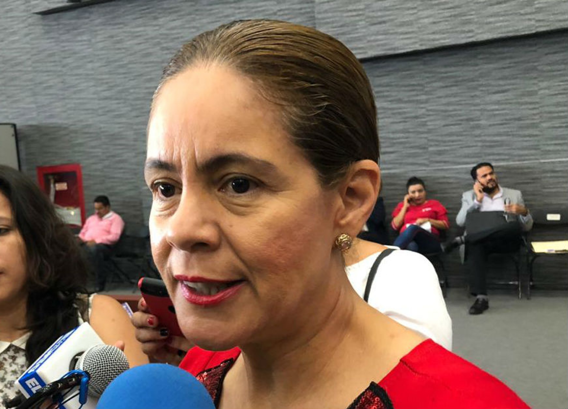 Observa Comisión de Hacienda trabajo de la ESAF, rezagado desde el 2014