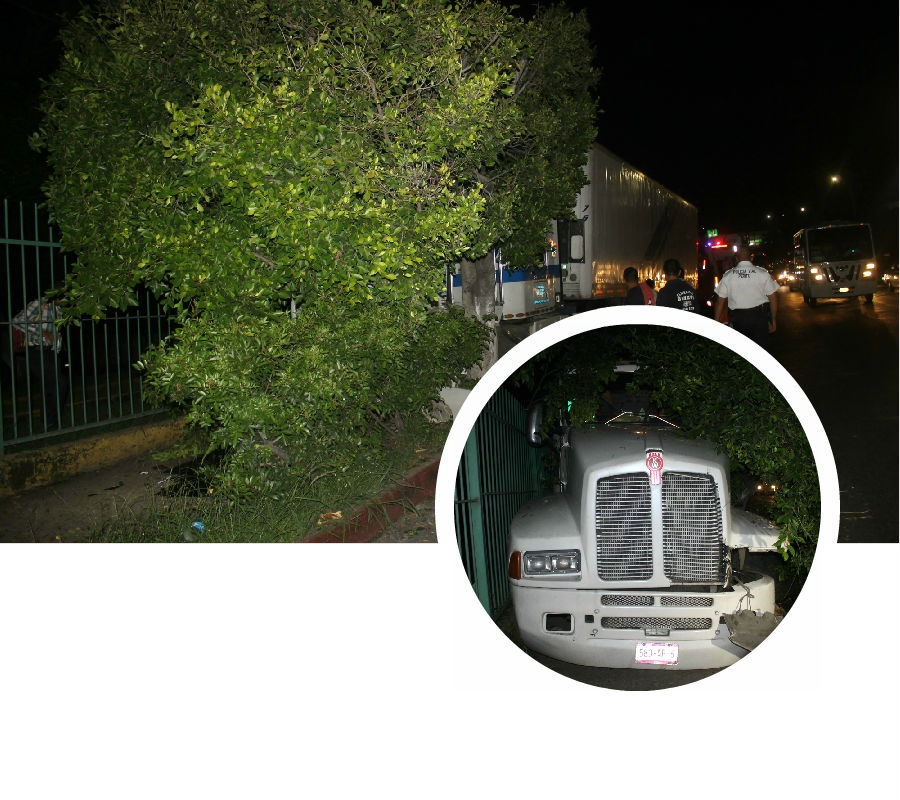 Un tráiler sin frenos chocó contra un árbol
