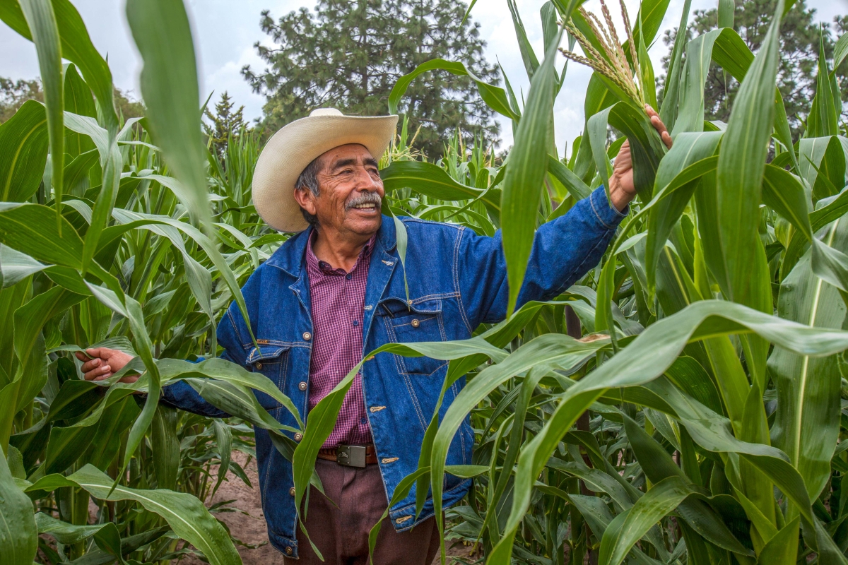 Instalan el Comunders que atenderá a agricultores de Yecapixtla