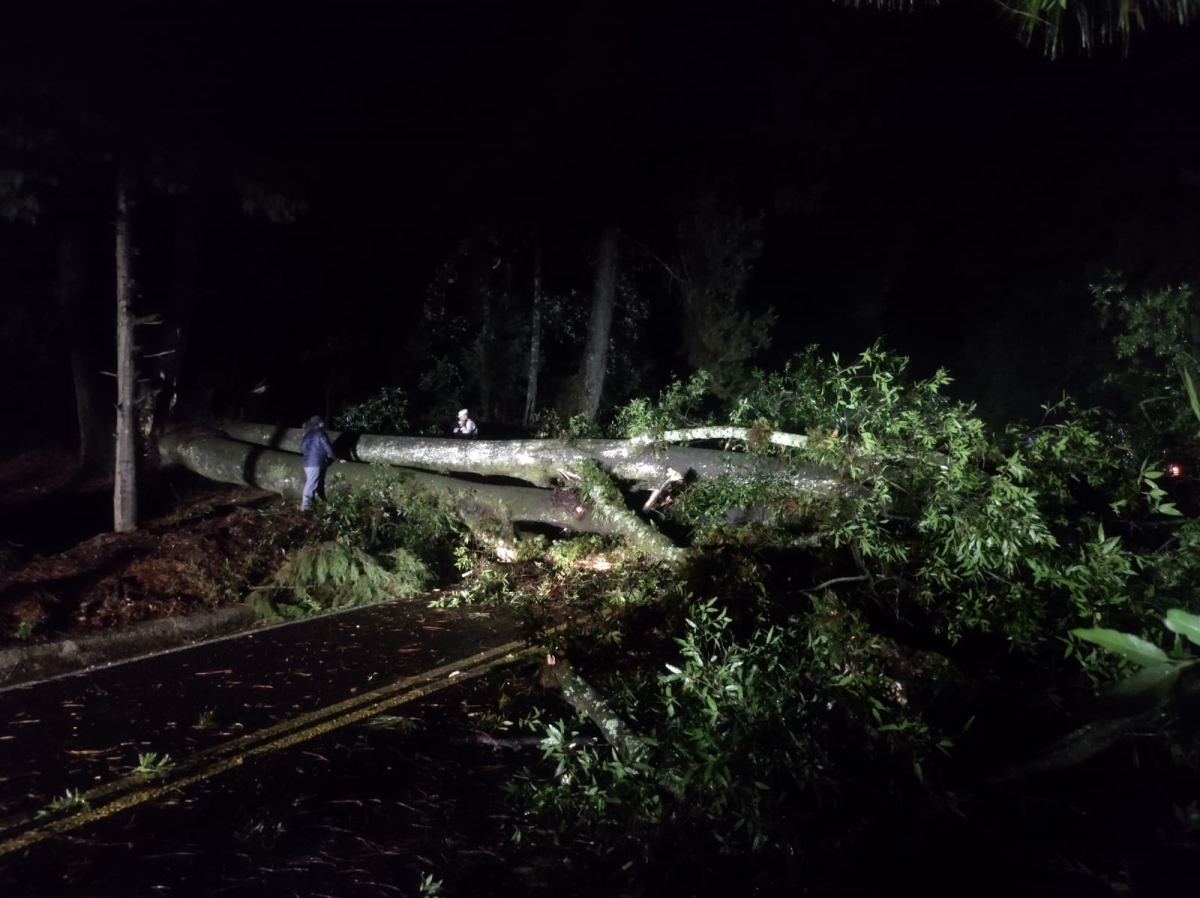 Reporte de afectaciones por lluvias en Morelos: CEPCM