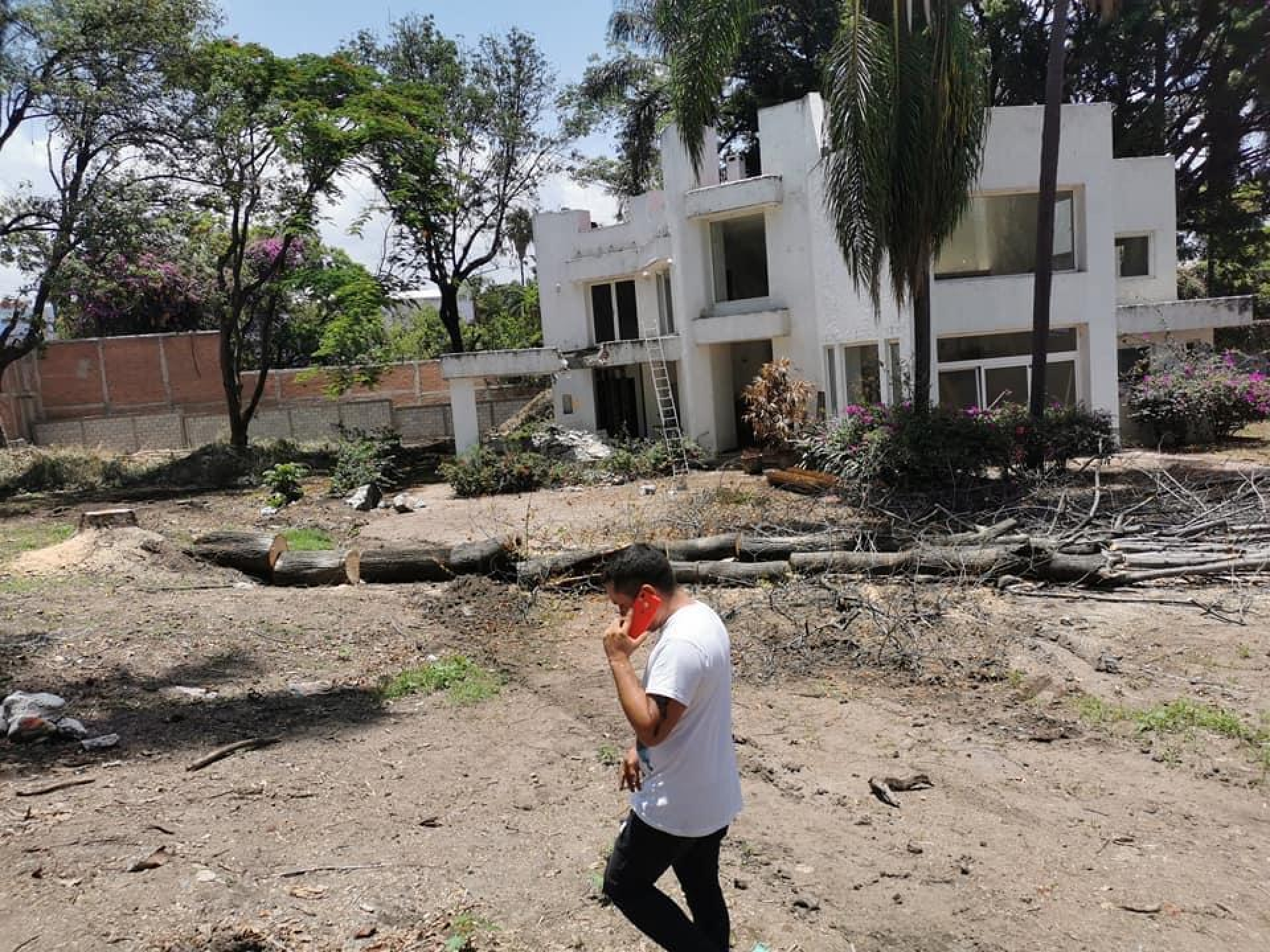 Atiende Ayuntamiento de Cuernavaca denuncia por tala en la colonia Acapantzingo