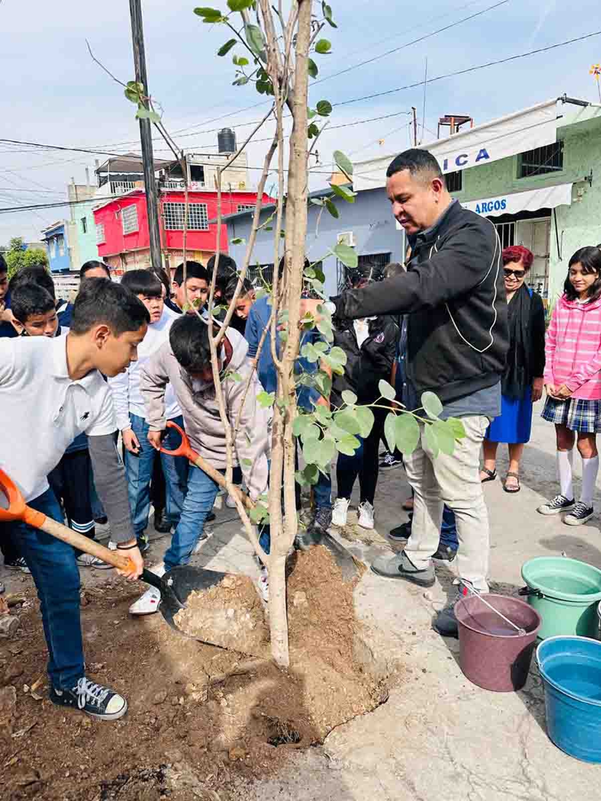 Durante 2023 sembraron al menos mil 500 árboles en Jojutla