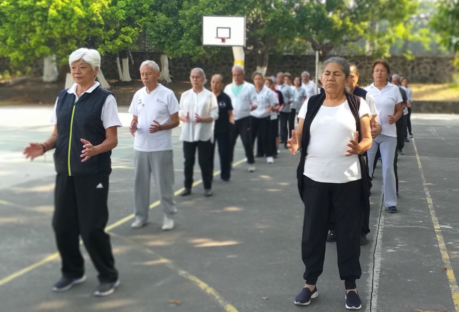 IMSS Morelos: mejoran derechohabientes con padecimientos crónicos con ejercicios de la medicina china