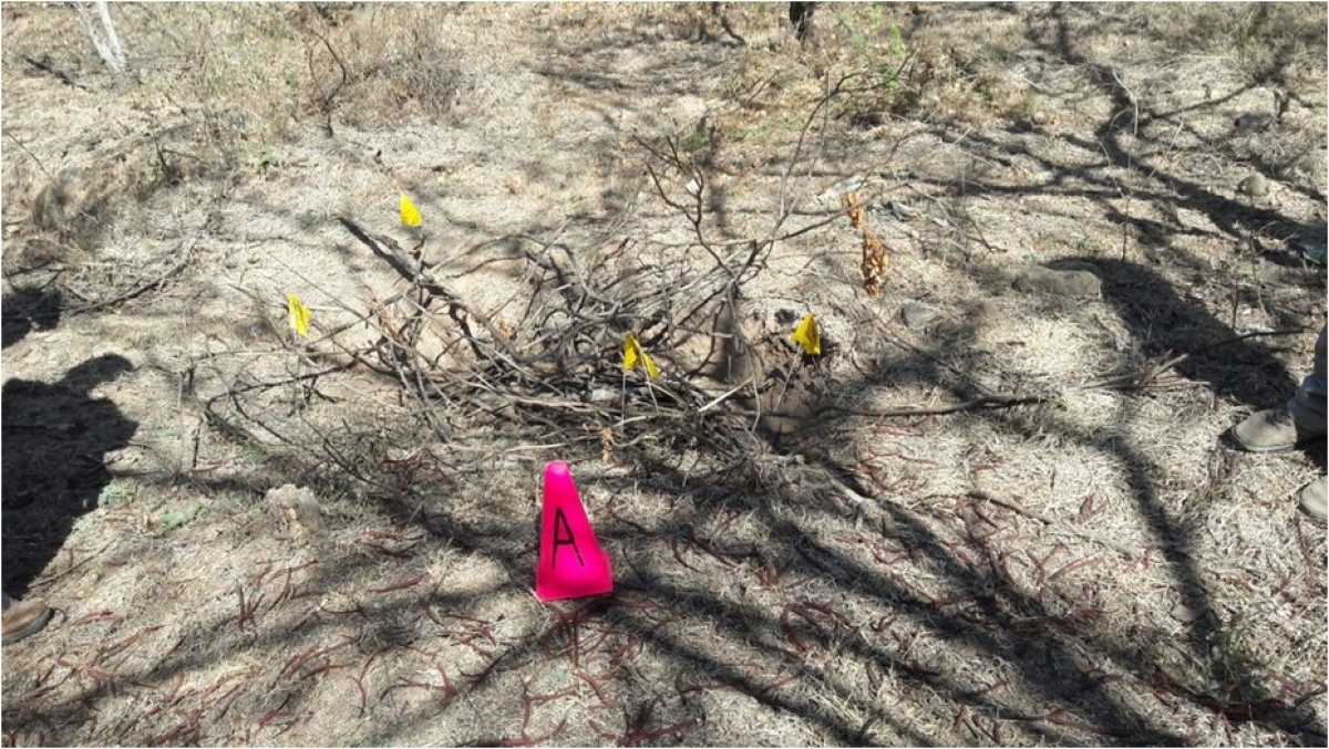 Encuentran 8 cadáveres en fosas clandestinas