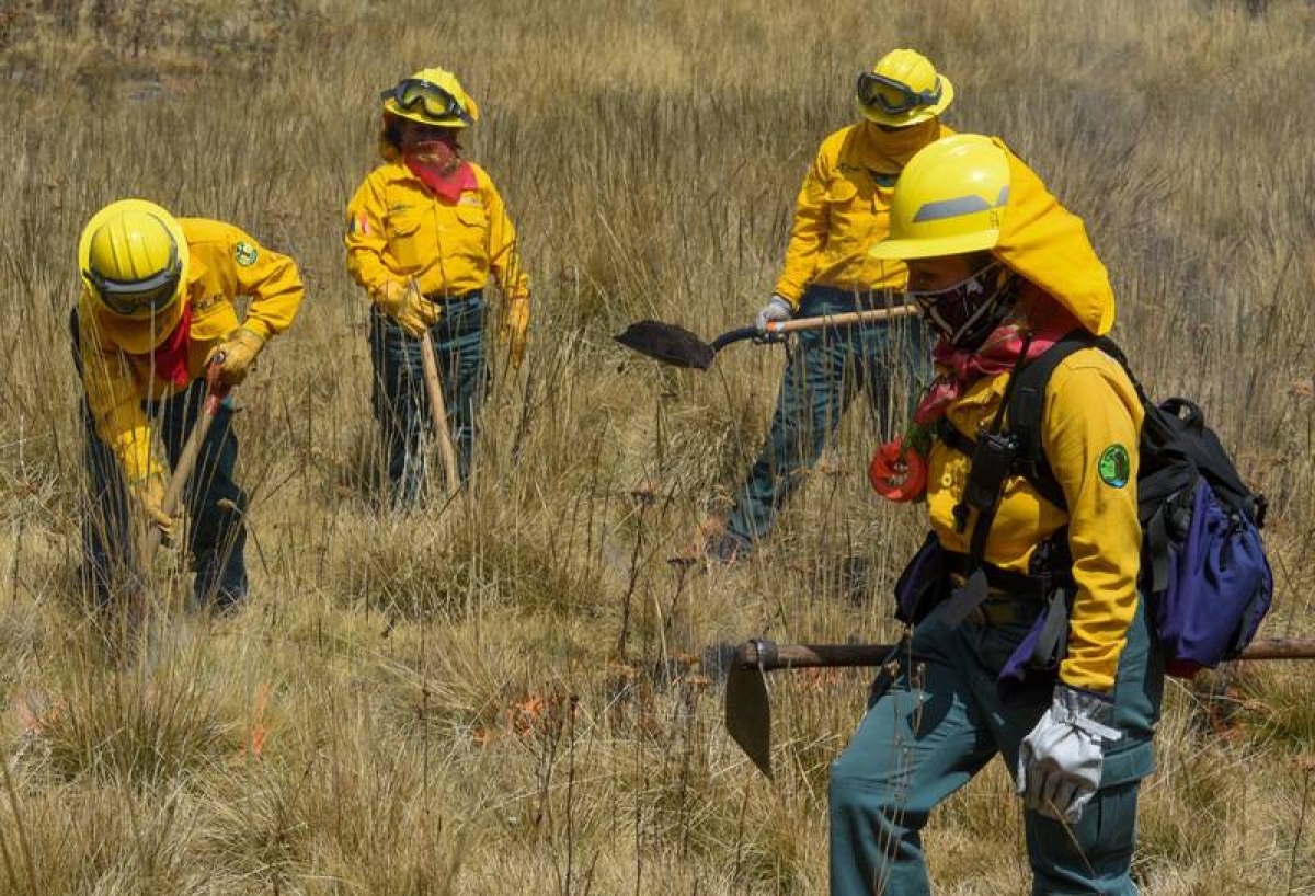 México ‘arde’: Hay 68 incendios forestales activos en 19 estados