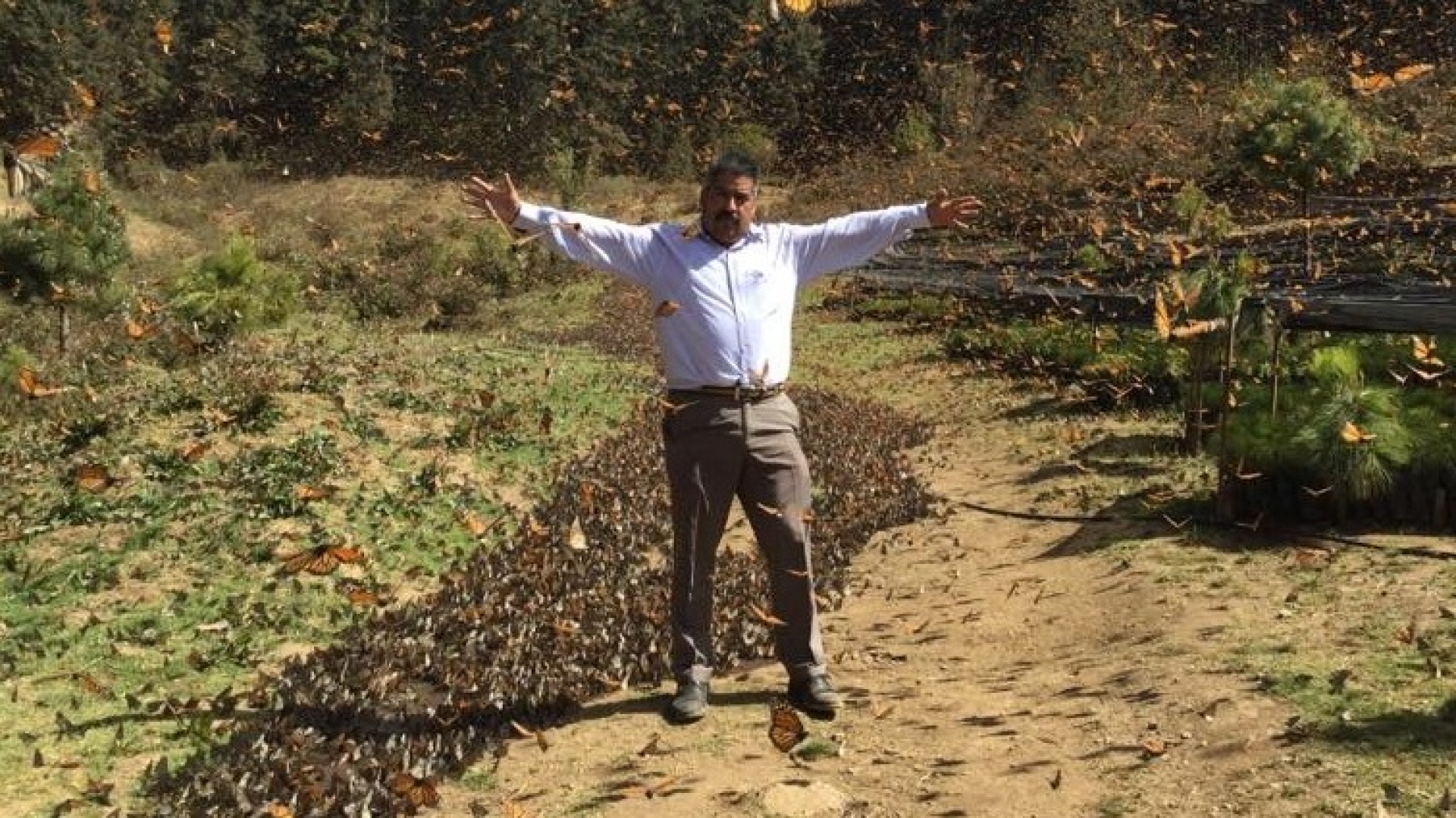 Hallan sin vida al protector de la mariposa monarca Homero González, en Michoacán tras 16 días de desaparecido