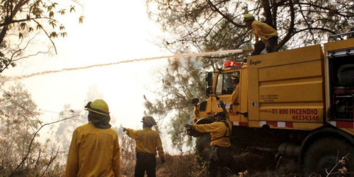 Sofocan incendio ubicado en los límites con Huitzilac
