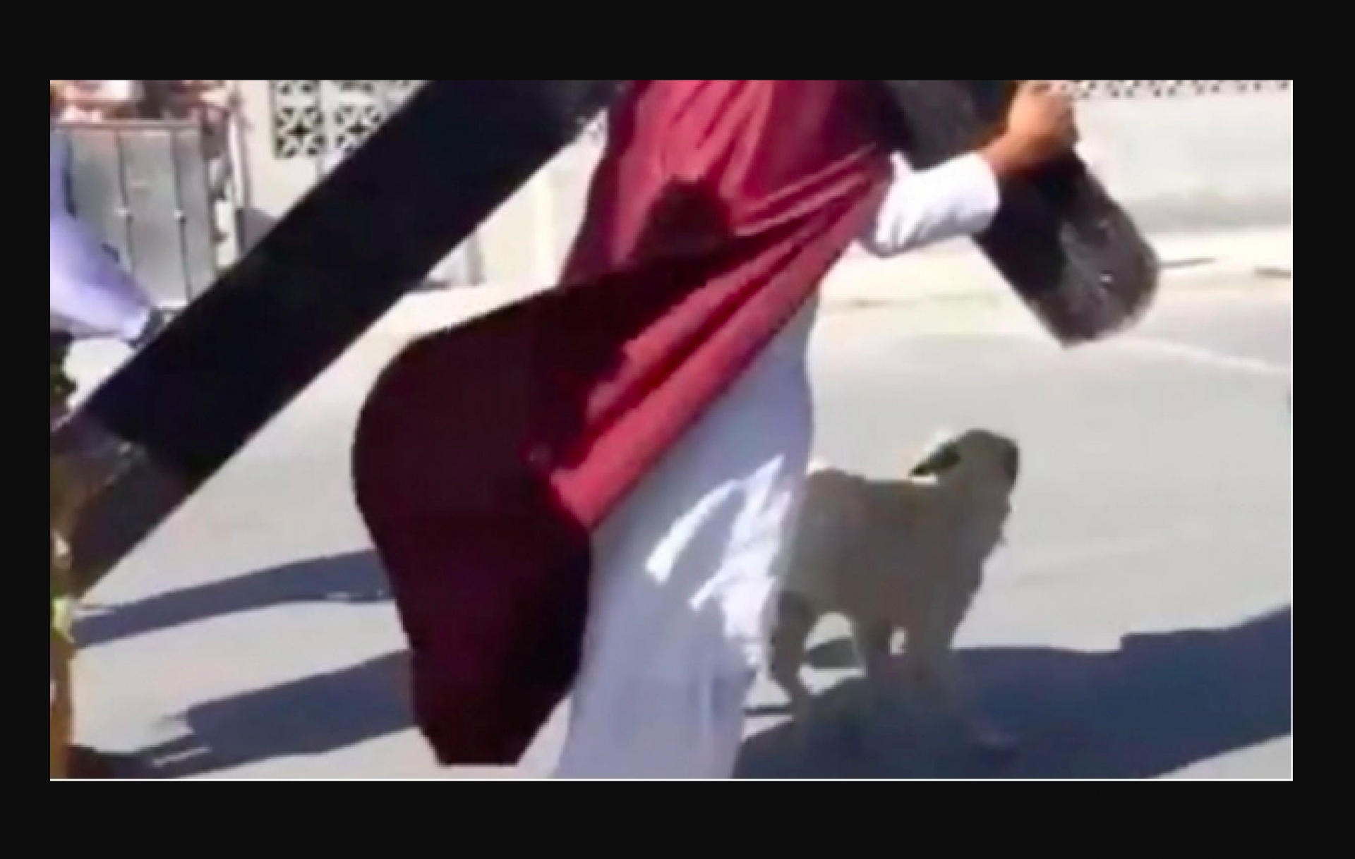 Perro defiende a ‘Jesucristo’ tras ser azotado por romanos