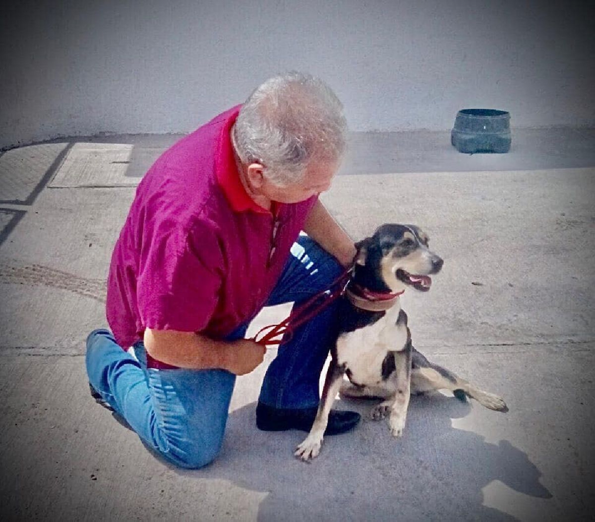 Alista Cuernavaca proyecto para resguardar la vida animal